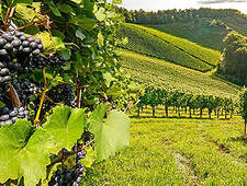 Find Your Dream Lifestyle Property in Spain