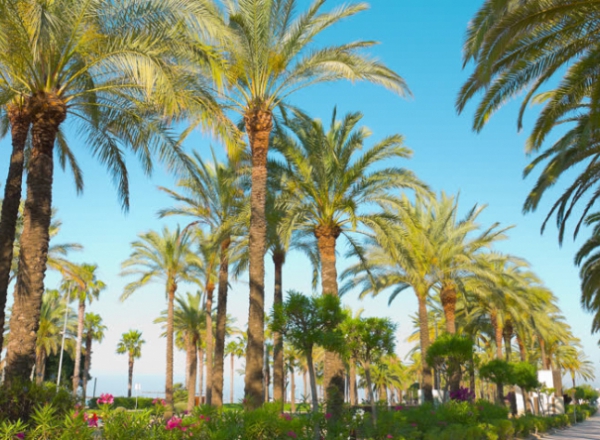 Votre Guide Sur La Costa Blanca, Espagne