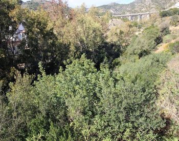 Residential Land Close to Malaga City in Benalmadena 3
