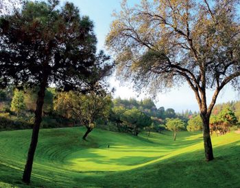 Residential Plots with Unique Views in Privileged Area of Mijas 3