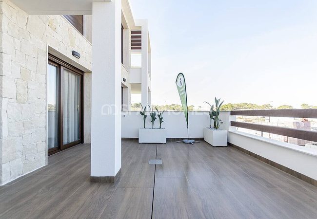 Moderne Bungalows Mit Solarium In Torrevieja, Alicante 2