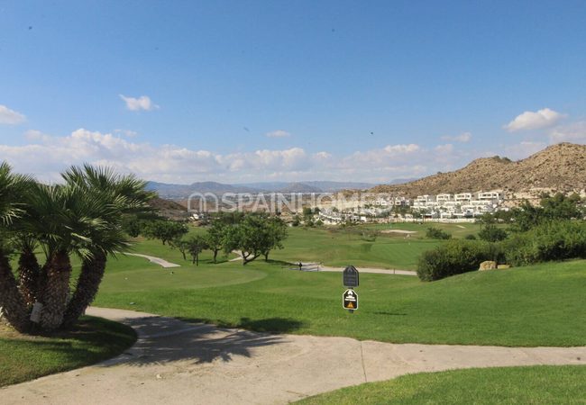 Stylish Apartments with Golf Course View in Monforte Del Cid 17