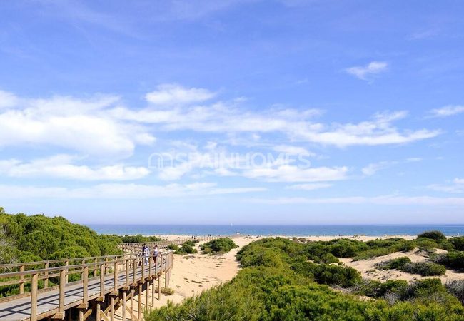 Land in a Tranquil Area Near the Beach in Alicante La Marina 5