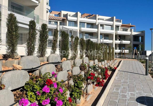 Appartements Modernes Proches Des Commodités De Playa Flamenca 8