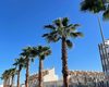Appartements Modernes Proches Des Commodités De Playa Flamenca 9
