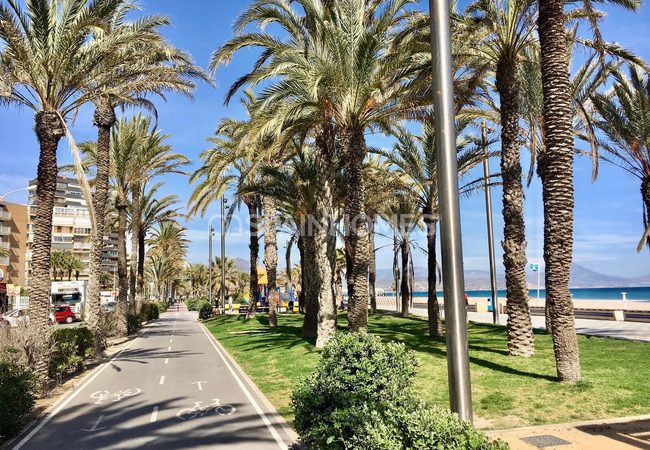 Sea View Apartment with 3 Bedrooms in San Juan Alicante 5