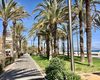 Sea View Apartment with 3 Bedrooms in San Juan Alicante 5