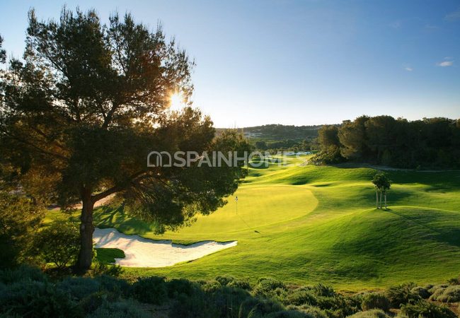 Detached Real Estate with Pools in Alicante San Miguel 18