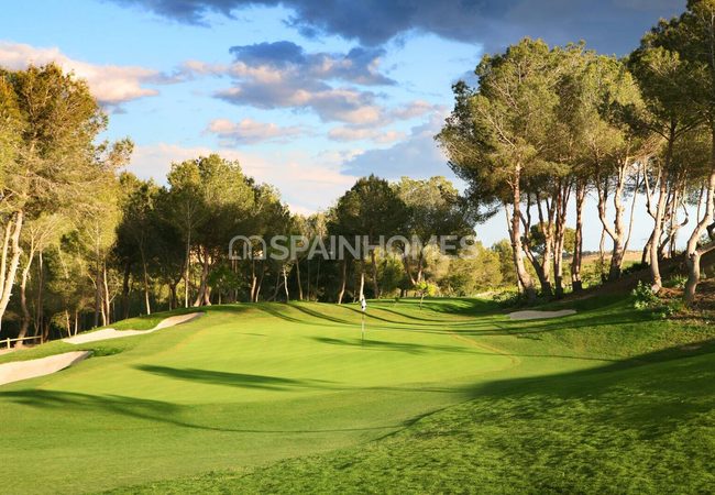 Detached Real Estate with Pools in Alicante San Miguel 17