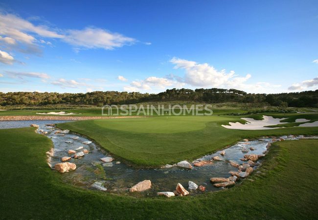 Detached Real Estate with Pools in Alicante San Miguel 11