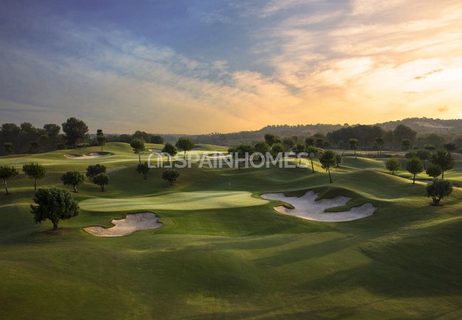 Detached Real Estate with Pools in Alicante San Miguel 13