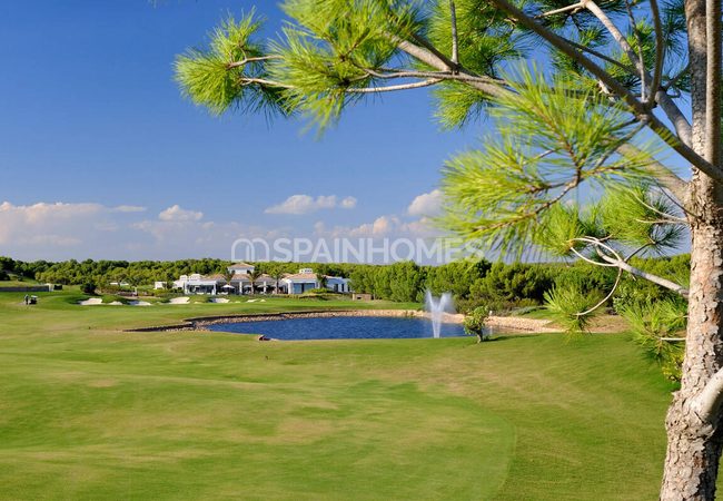 Detached Real Estate with Pools in Alicante San Miguel 14