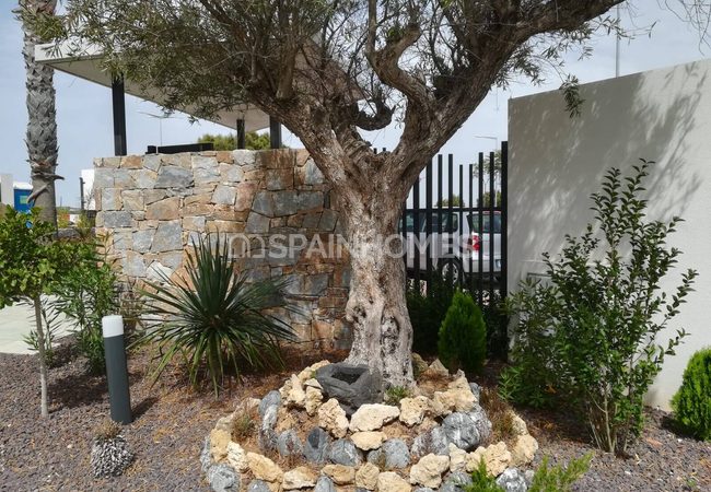 Stylish Flats Close to Amenities in Torrevieja Los Altos 20