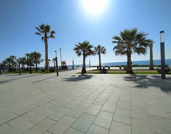 Commercieel Vastgoed Vlakbij Het Strand In Torrevieja Spanje 3