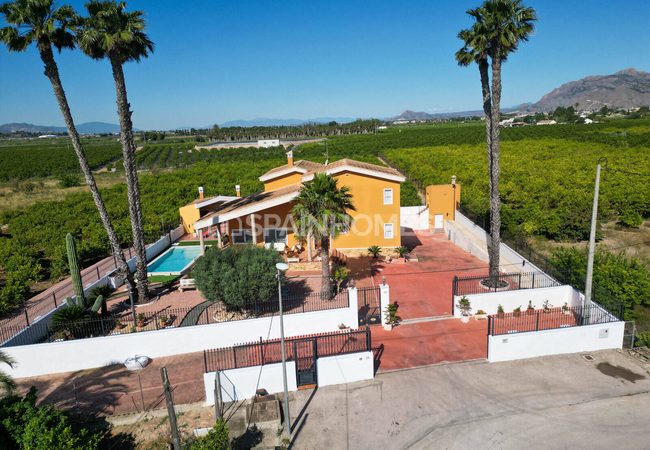 Amplia Villa Con Piscina Y Parking En Orihuela Centro 15
