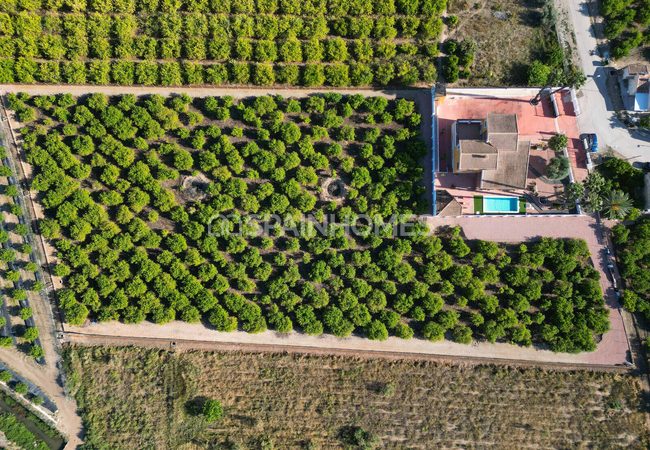 Amplia Villa Con Piscina Y Parking En Orihuela Centro 26