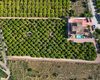 Amplia Villa Con Piscina Y Parking En Orihuela Centro 26