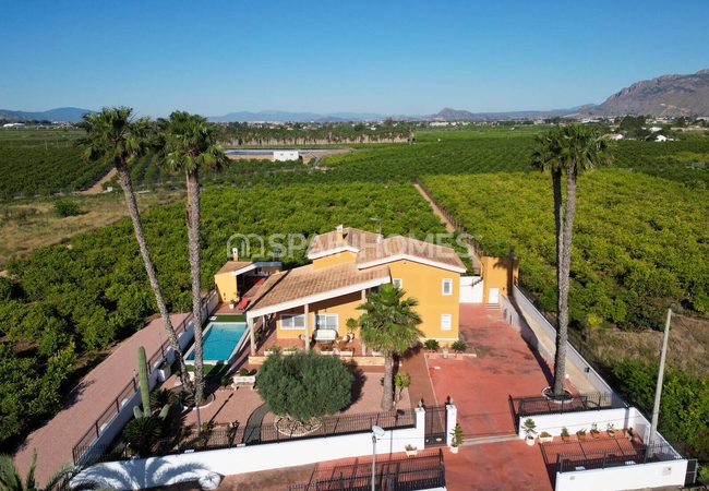 Amplia Villa Con Piscina Y Parking En Orihuela Centro 16
