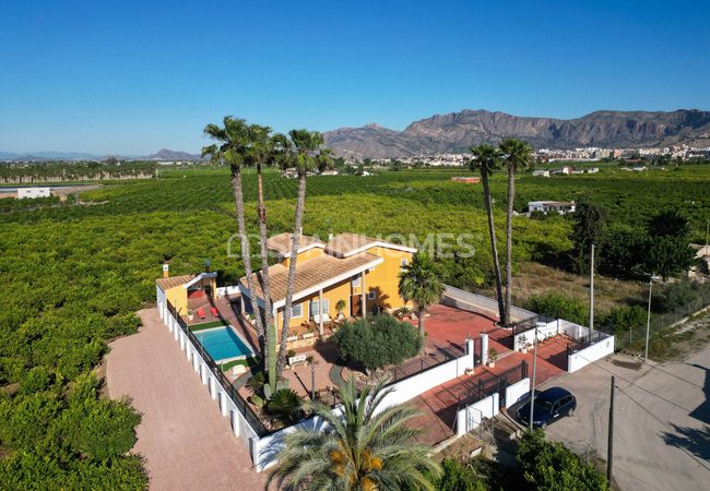Amplia Villa Con Piscina Y Parking En Orihuela Centro 17
