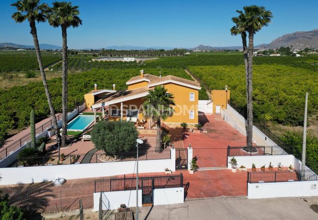 Amplia Villa Con Piscina Y Parking En Orihuela Centro 11