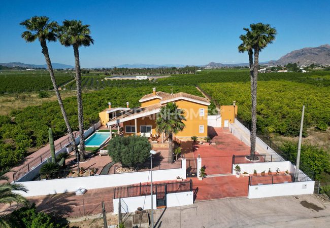 Amplia Villa Con Piscina Y Parking En Orihuela Centro 12