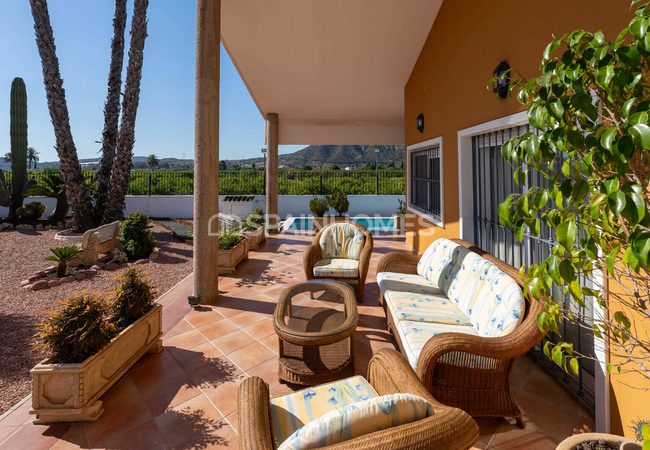Amplia Villa Con Piscina Y Parking En Orihuela Centro 7