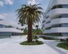 Stylish Flats in a Complex Near Amenities in Guardamar Del Segura 4