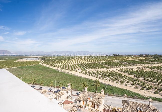 Élégantes Villas De Golf Avec Piscine À Algorfa La Finca 23