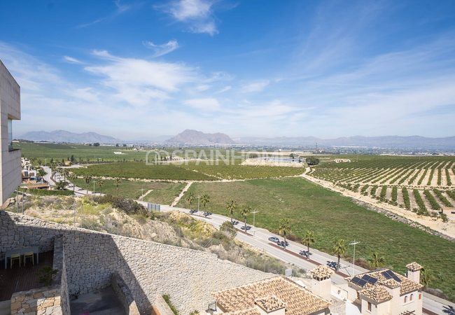 Élégantes Villas De Golf Avec Piscine À Algorfa La Finca 22