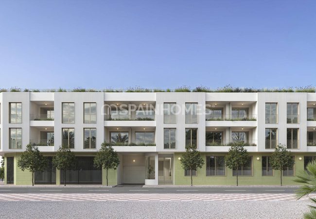 3-bedroom Apartments with Rooftop Pool in Alicante Jacarilla