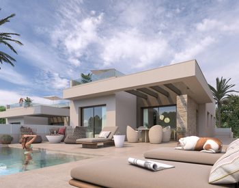 Villor Med Privata Pooler Och Trädgårdar I Alicante Rojales 1
