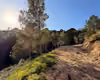 Prime Residential Lands with Sea View in Altea Alicante 6