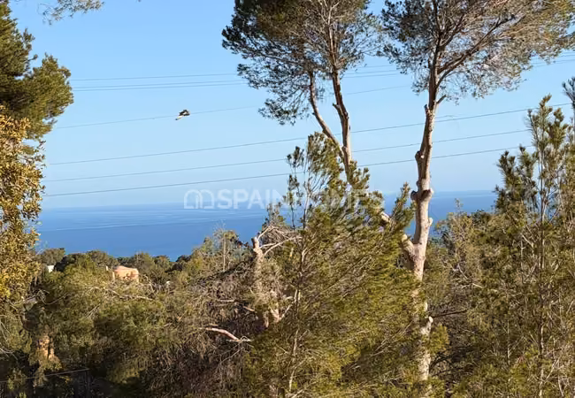 Prime Residential Lands with Sea View in Altea Alicante 2