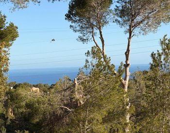Terrenos Residenciales En Ubicación Privilegiada En Altea Alicante 3