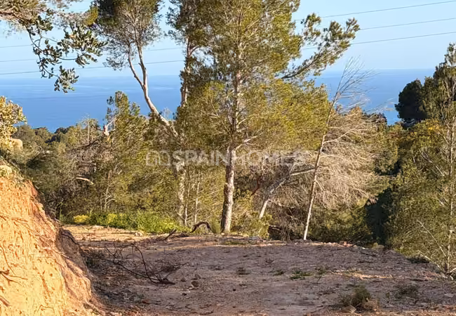 Prime Residential Lands with Sea View in Altea Alicante 3