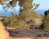 Prime Residential Lands with Sea View in Altea Alicante 3