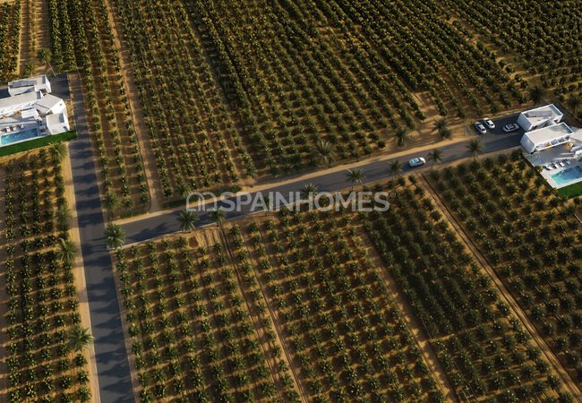 Vrijstaande Villa's Met Privézwembad In Benejúzar Alicante 12