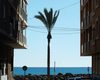 Spacious Apartments and Penthouses Perfectly Located in Torrevieja 2