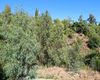 Building Land 800 M to the Sea at Quiet Region in Benalmádena 2