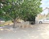 Villa Individuelle Sur Grand Terrain À Valle Del Sol Murcie 6