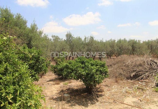 Villa Individuelle Sur Grand Terrain À Valle Del Sol Murcie 12