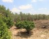 Villa Individuelle Sur Grand Terrain À Valle Del Sol Murcie 12