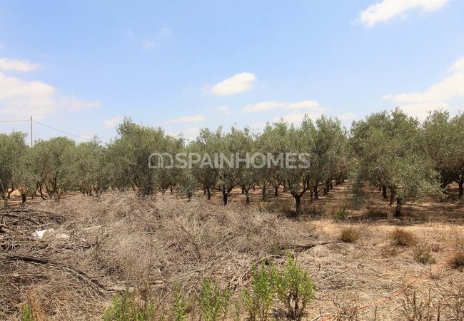 Villa Individuelle Sur Grand Terrain À Valle Del Sol Murcie 13