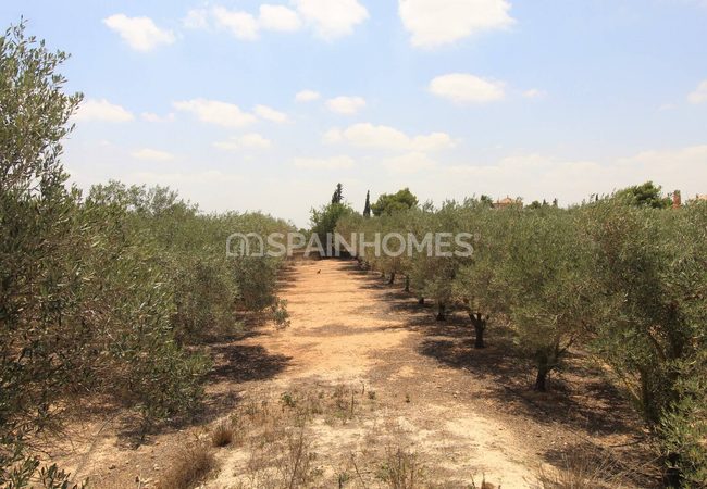 Villa Individuelle Sur Grand Terrain À Valle Del Sol Murcie 14