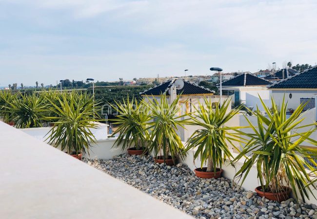 Ready Townhouses Next to the Salt Lake in Torrevieja, Alicante 4