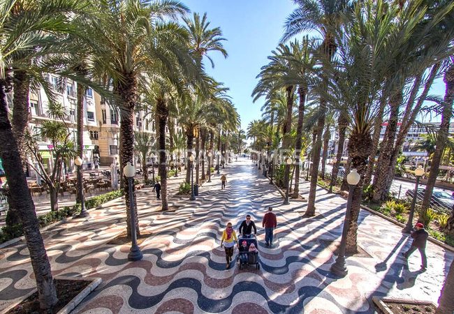 Beachfront Villas with Chic Designs in El Campello Costa Blanca 6