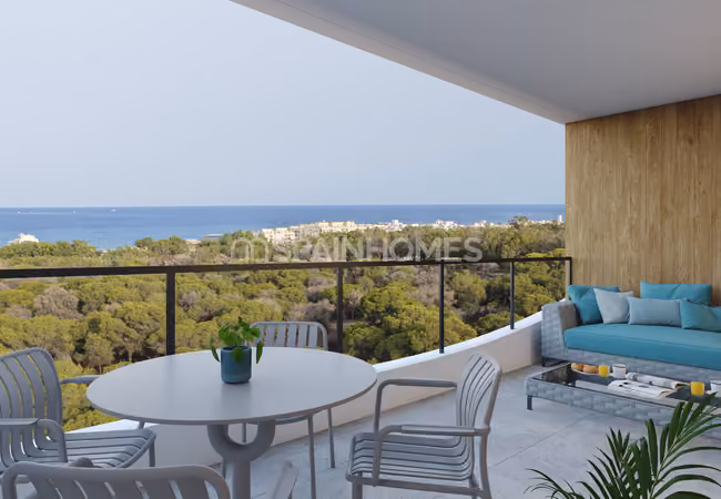 Apartments with Parking and Pool in Guardamar Del Segura Alicante 11