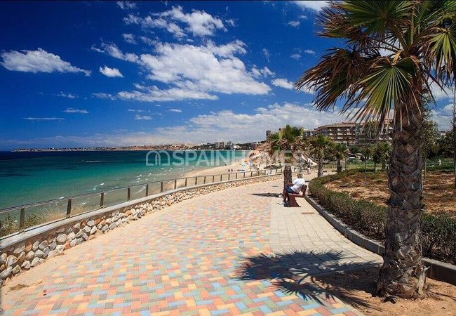 Luxury Villas with Sea Views in Torre De La Horadada 10