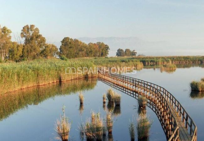Maisons Près Du Terrain De Golf À Monforte Del Cid Alicante 26