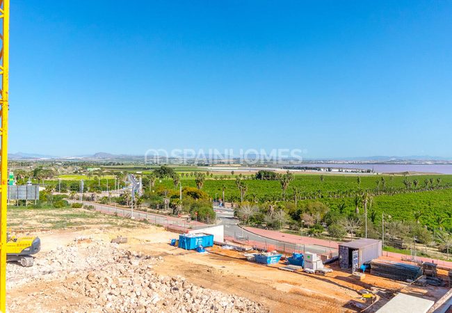 Properties in a Complex in a Popular Location in Torrevieja 43